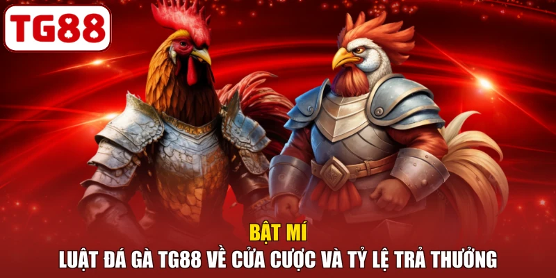 Bật mí luật đá gà TG88 về cửa cược và tỷ lệ trả thưởng
