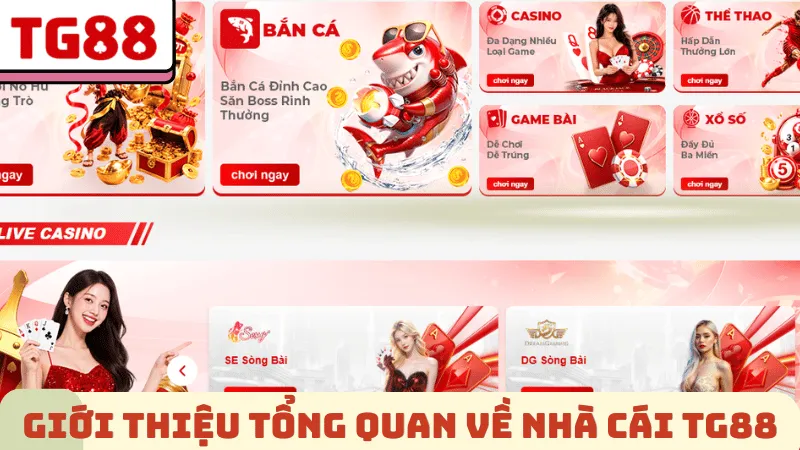 Giới thiệu tổng quan về nhà cái TG88 2026