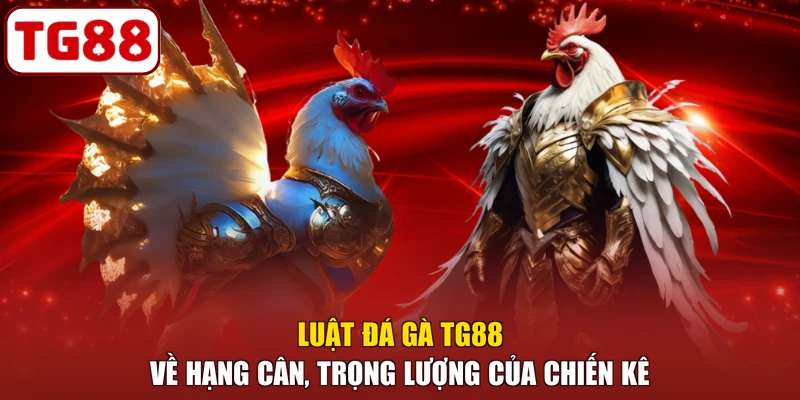 Luật đá gà TG88 về hạng cân, trọng lượng của chiến kê